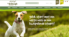 Desktop Screenshot of debreborgh.nl